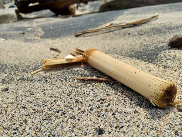 Lixo Praia Faz Com Que Pareça Sujo Confuso Poluição Porque — Fotografia de Stock