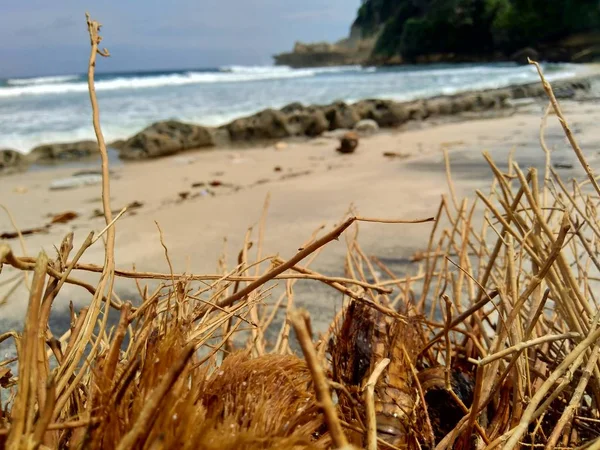 Rifiuti Spiaggia Rendono Aspetto Sporco Disordinato Inquinamento Perché Molti Rifiuti — Foto Stock