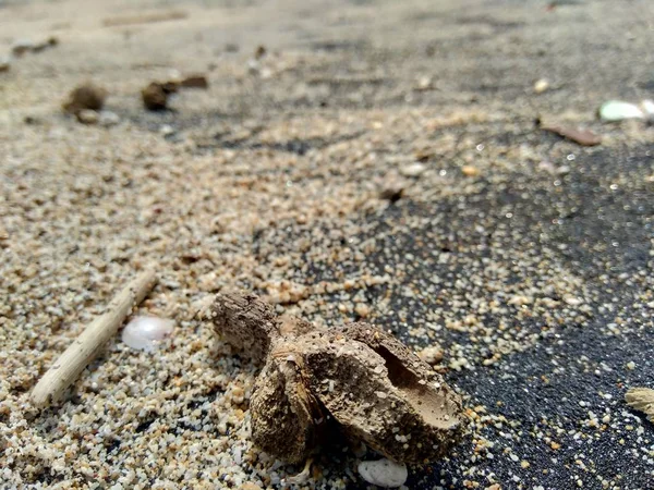 Lixo Praia Faz Com Que Pareça Sujo Confuso Poluição Porque — Fotografia de Stock