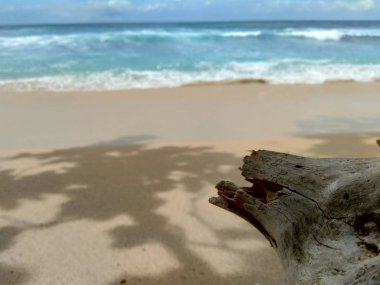 Güzel plaj geçmişi olan ahşap.