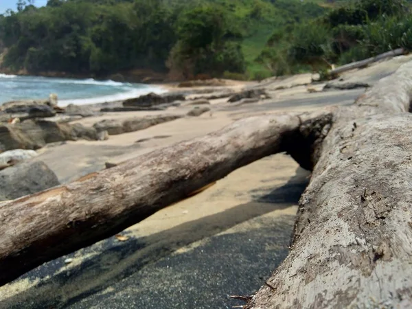 Natürliches Holz Der Natur Mit Sand Und Felsen Strand — Stockfoto