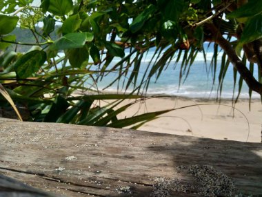 Sahilde güzel manzaralı bir odun.