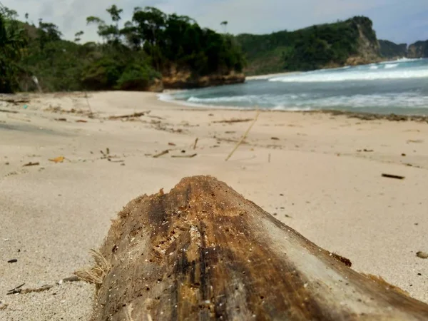 Holz Strand Mit Schöner Landschaft Gut Für Hintergrund Und Zitate — Stockfoto