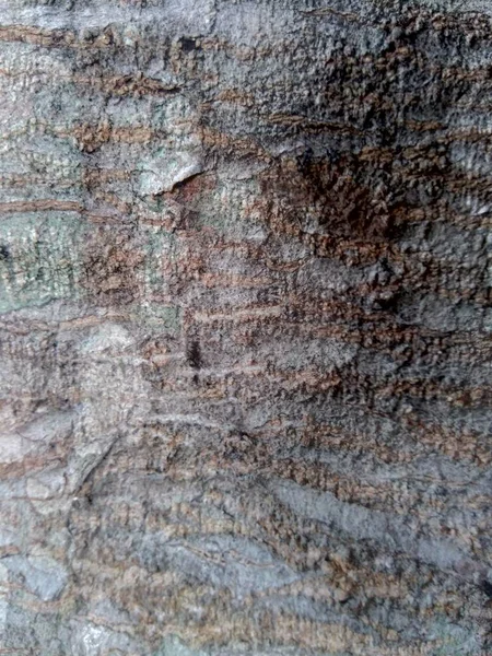 Close Fundo Textura Natural Madeira Textura Madeira Antiga Para Adicionar — Fotografia de Stock
