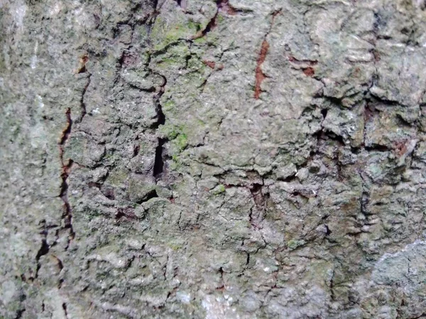 Close Fundo Textura Natural Madeira Textura Madeira Antiga Para Adicionar — Fotografia de Stock