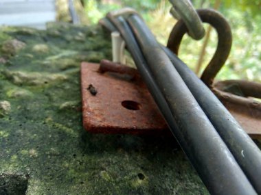 Doğa arka planında yüksek voltaj kablosu