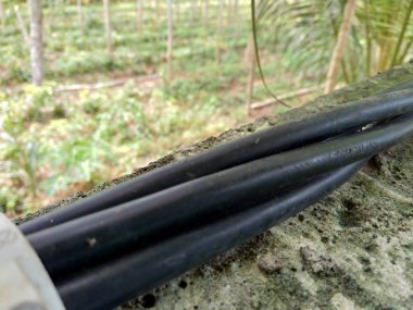 Doğa arka planında yüksek voltaj kablosu