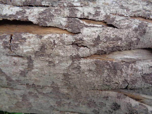 Cerrar Fondo Textura Natural Madera Textura Madera Vieja Para Añadir —  Fotos de Stock