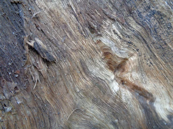 Fermer Fond Texture Naturelle Bois Ancienne Texture Bois Pour Ajouter — Photo