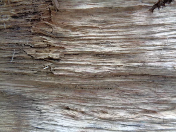 Zamknij Drewniane Naturalne Tło Tekstury Stara Tekstura Drewna Dodawania Tekstu — Zdjęcie stockowe