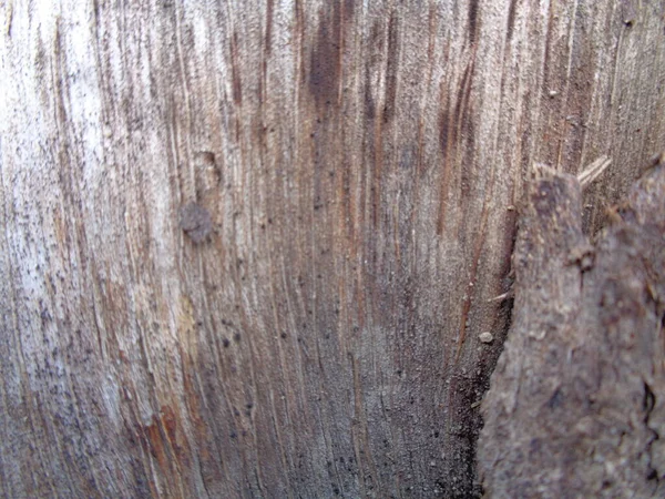 Cerrar Fondo Textura Natural Madera Textura Madera Vieja Para Añadir —  Fotos de Stock