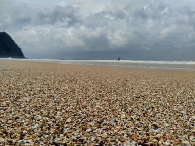 Doğayla iç içe güzel bir sahil. Tatil için güzel bir yer..