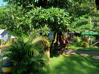 Güzel manzaralı boş park