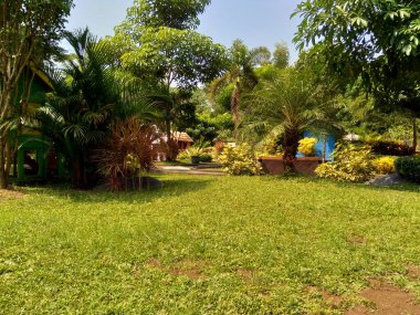 Güzel manzaralı boş park