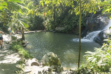 Minca, Santa Marta 'da bitki örtüsü