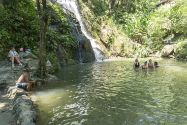 Minca, Santa Marta 'da bitki örtüsü