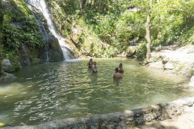 Minca, Santa Marta 'da bitki örtüsü