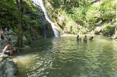 Minca, Santa Marta 'da bitki örtüsü