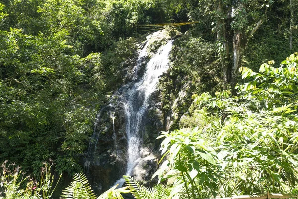 Végétation Minca Santa Marta — Photo