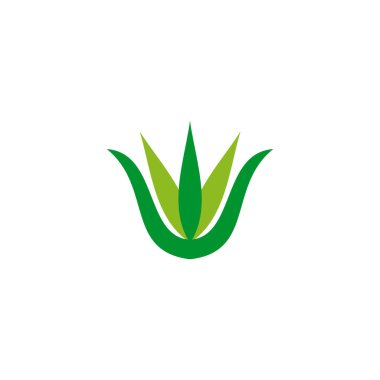 Aloe vera bitki logo tasarım vektörü şablonu