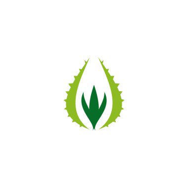 Aloe vera bitki logo tasarım vektörü şablonu