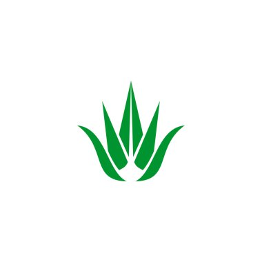 Aloe vera bitki logo tasarım vektörü şablonu