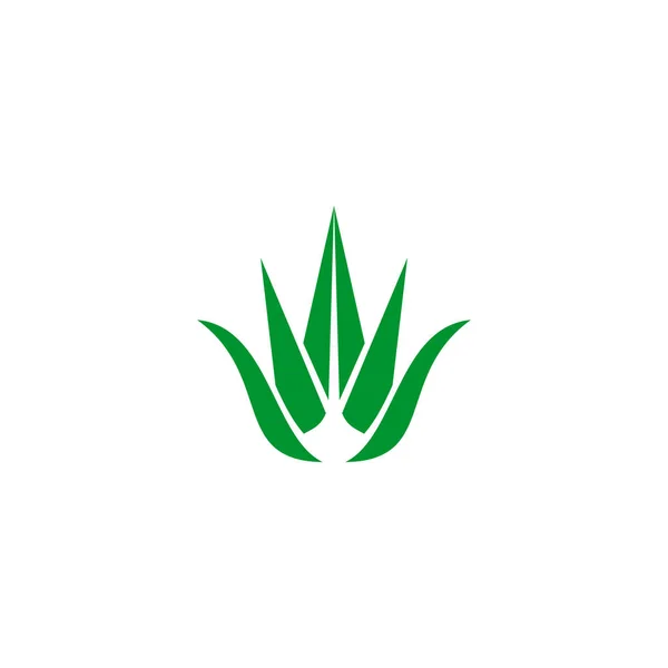 Plantilla de vector de diseño de icono de logotipo de planta de Aloe vera — Archivo Imágenes Vectoriales