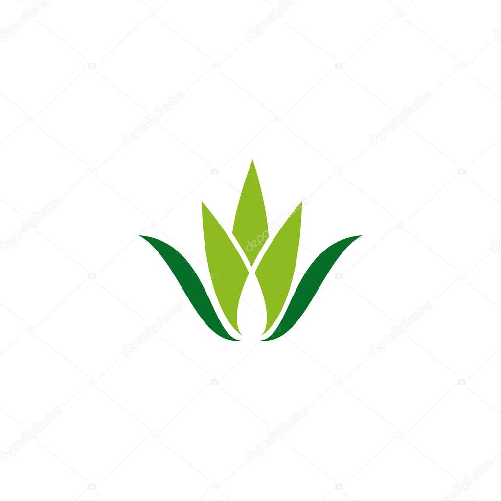 Aloe vera plant logo icon design vector template for beauty salon