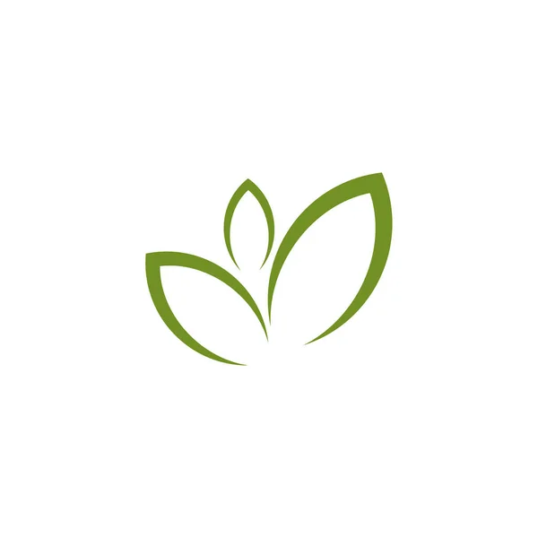 Modelo de vetor de design de logotipo de ícone de folha — Vetor de Stock