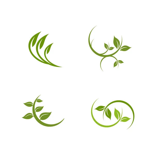Folha verde ícone logotipo design vetor ilustração modelo — Vetor de Stock