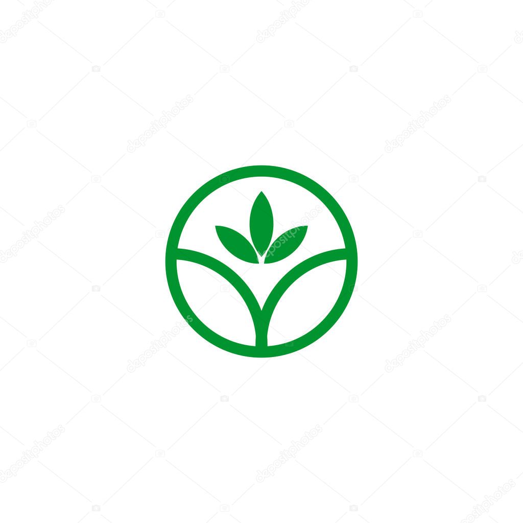 Simple CBD cannabis leaf icon logo design inspiration vector template