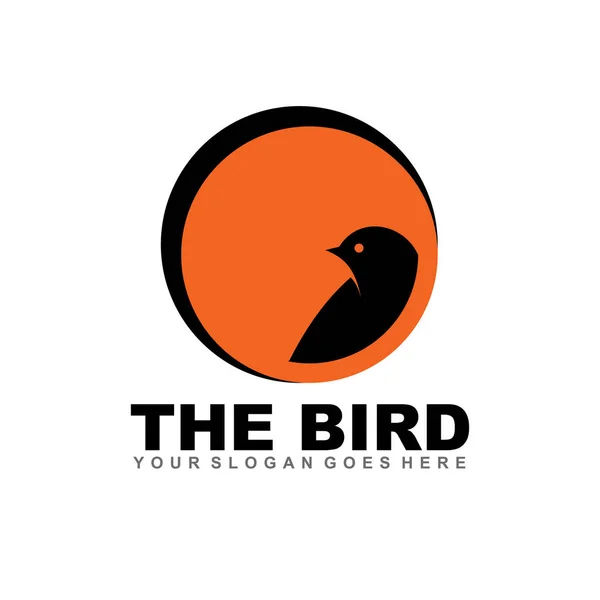 Pájaro logo diseño inspiración vector plantilla — Vector de stock