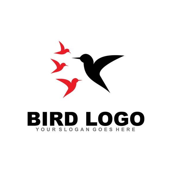 Modelo de vetor de inspiração de design de logotipo de pássaro — Vetor de Stock