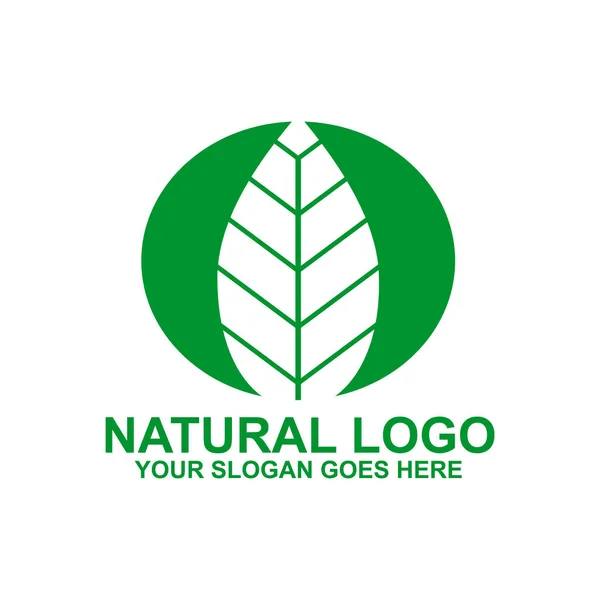 Blatt icion Logo Design-Vorlage — Stockvektor