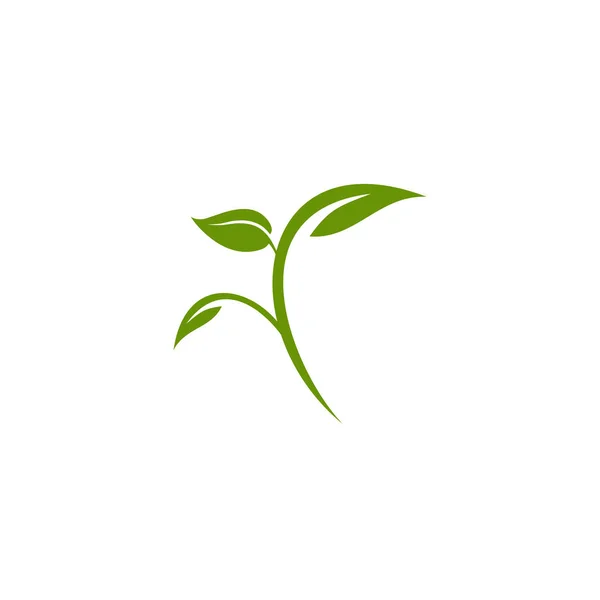 生态绿叶图标标识设计矢量模板 — 图库矢量图片