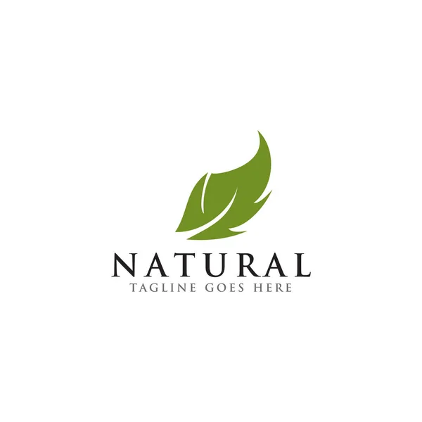 Modello di design del logo Leaf icion — Vettoriale Stock