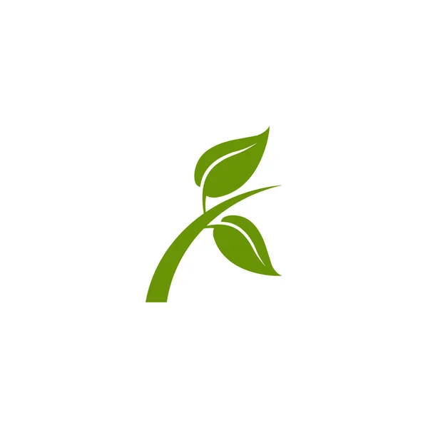 Eco groen blad pictogram logo ontwerp vector template — Stockvector