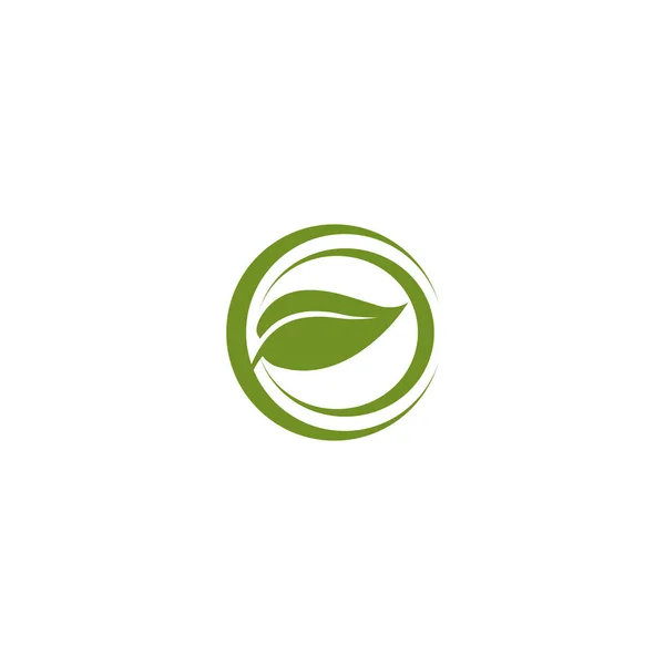 Шаблон дизайну логотипу листя іони — стоковий вектор