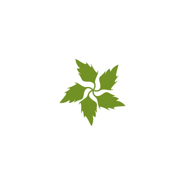 Modelo de design de logotipo de folha icion — Vetor de Stock