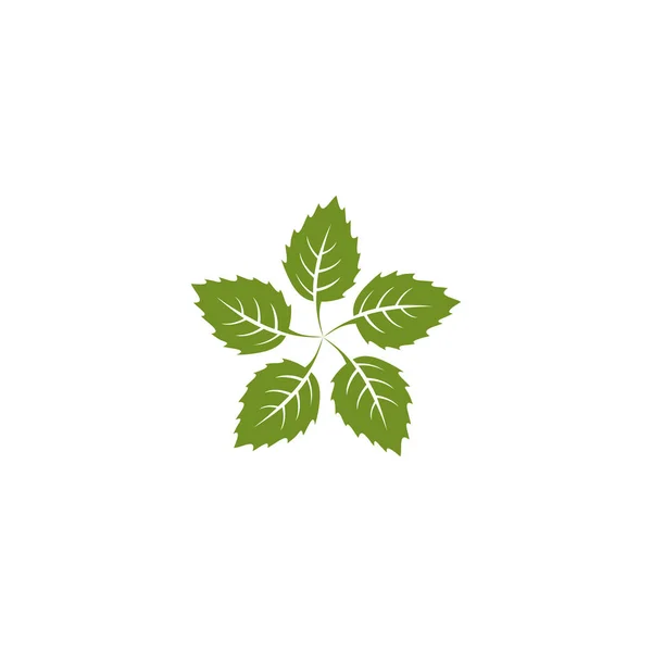 Modelo de design de logotipo de folha icion — Vetor de Stock