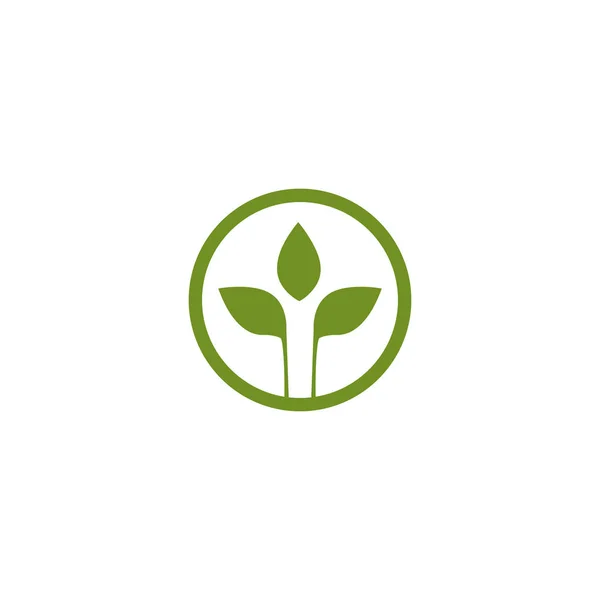 Blatt icion Logo Design-Vorlage — Stockvektor