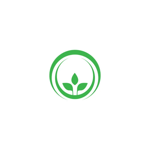 Modello di design del logo Leaf icion — Vettoriale Stock