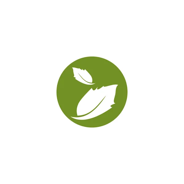 Plantilla de diseño de logotipo de iconos de hoja — Vector de stock