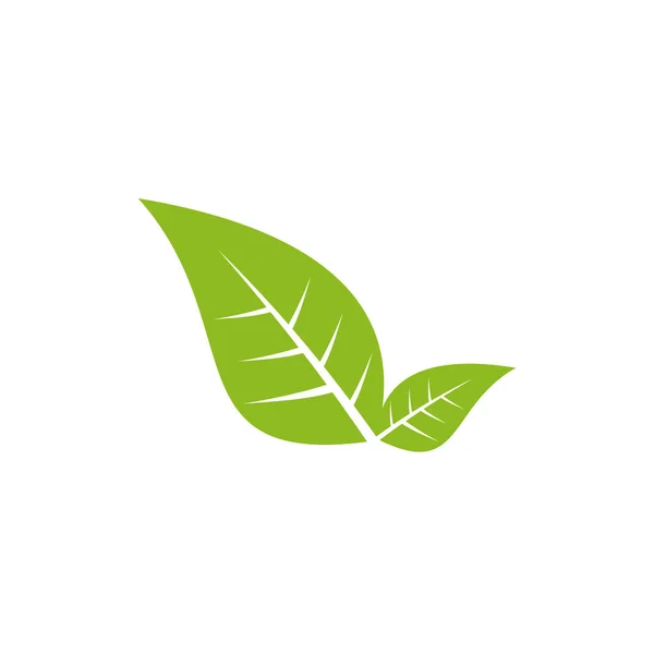 Plantilla de diseño de logotipo de iconos de hoja — Vector de stock