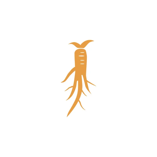 Modèle vectoriel de conception d'icône de logo végétal de ginseng — Image vectorielle