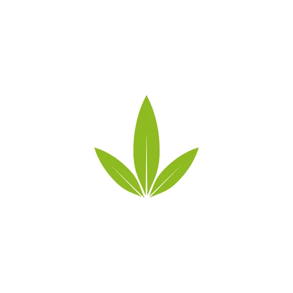Cannabis blad ikon logotyp design vektor mall — Stock vektor