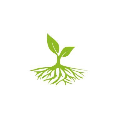 Tree logo design inspiration vector template