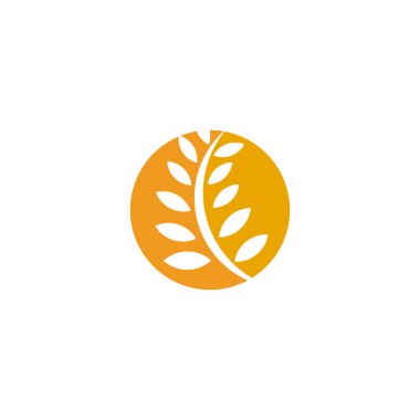 Agriculture wheat leaf icon logo design vector template