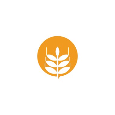 Agriculture wheat leaf icon logo design vector template
