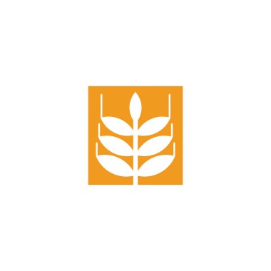 Agriculture wheat leaf icon logo design vector template